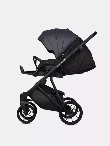 Изображение товара Детская универсальная коляска Riko Montana X Ecco 3 В 1 Basic (графитовый)