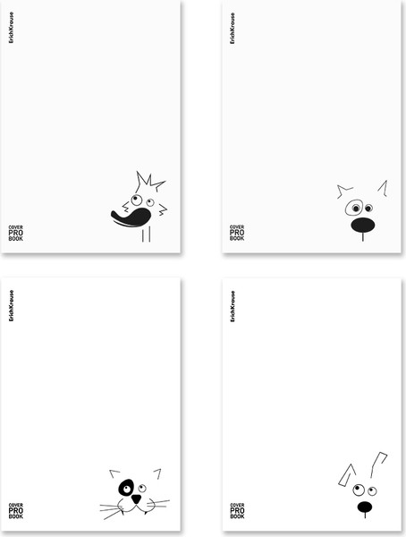 Изображение товара Тетрадь Erich Krause Character / 63413 (60л, клетка)