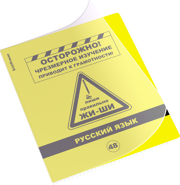 Изображение товара Тетрадь предметная Erich Krause Be Informed Русский язык / 59480 (48л, линейка)