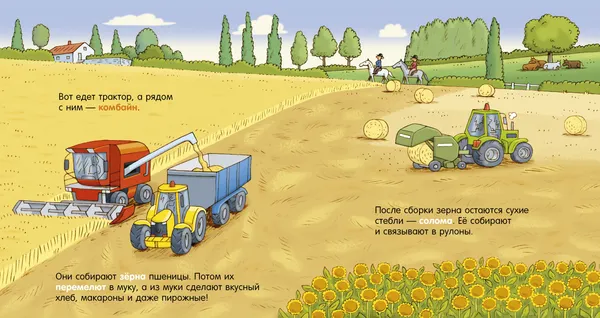 Изображение товара Набор энциклопедий CLEVER Как устроен мир? Твердая обложка (Леду Стефани)