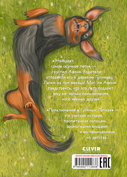 Изображение товара Набор художественных книг CLEVER Приключение в Гусиных Лапках. Тайна Гусиных Лапок (Снесарь Андрей)