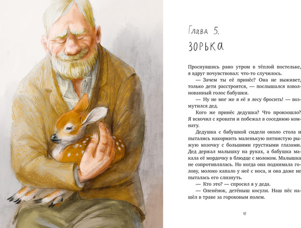 Изображение товара Набор художественных книг CLEVER Приключение в Гусиных Лапках. Тайна Гусиных Лапок (Снесарь Андрей)