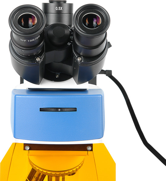 Изображение товара Микроскоп оптический Микромед 3 вариант Люм 2 РТ / 33032