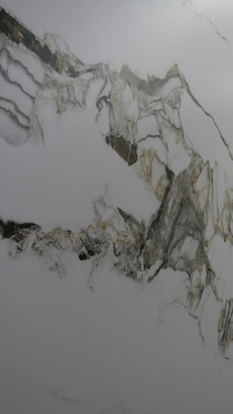 Изображение товара Панель ПВХ Talma №54Ts (2800х1220мм)