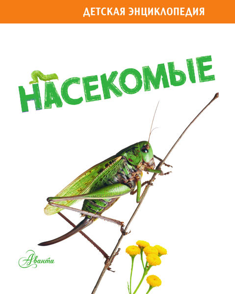 Изображение товара Энциклопедия АСТ Насекомые, твердая обложка