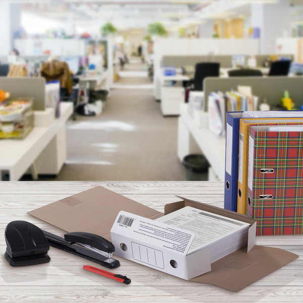 Изображение товара Коробка архивная Staff 128869 (белый)