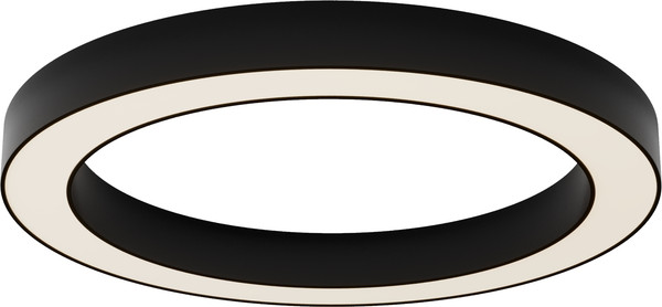 Изображение товара Потолочный светильник Maytoni C093CL-45W3K-B