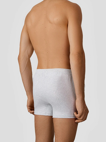 Изображение товара Трусы мужские Mark Formelle 411152 (р.110-120, серый меланж 4306-А-1)
