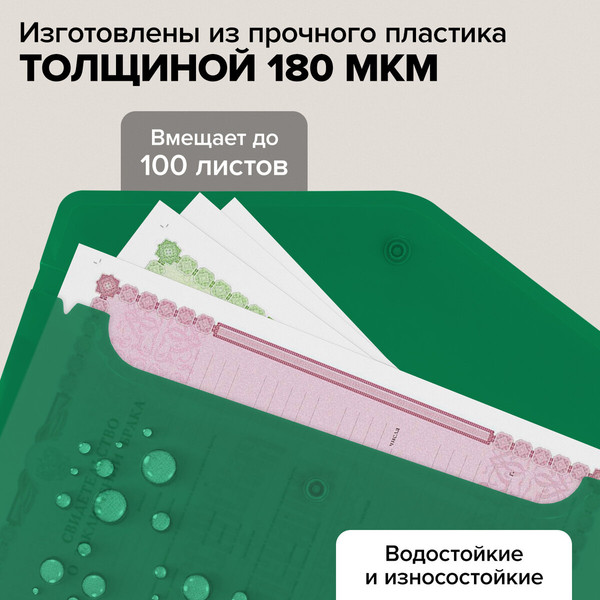 Изображение товара Набор папок Brauberg 272868 (10шт)