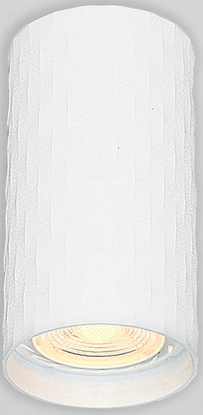 Изображение товара Точечный светильник General Lighting GWL-GU10-M-IP20 / 661854