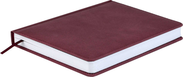 Изображение товара Ежедневник Escalada Нубук / 70591 (160л, бордовый)