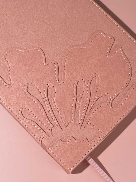 Изображение товара Ежедневник Escalada Буйвол / 70642 (160л, розовый)