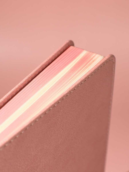 Изображение товара Ежедневник Escalada Буйвол / 70642 (160л, розовый)