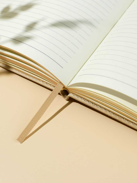 Изображение товара Ежедневник Escalada Буйвол / 70643 (160л, бежевый)