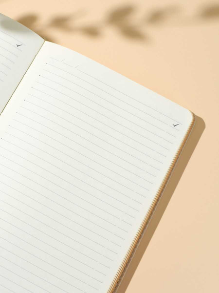 Изображение товара Ежедневник Escalada Буйвол / 70643 (160л, бежевый)