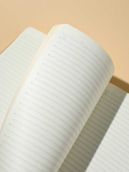 Изображение товара Ежедневник Escalada Буйвол / 70643 (160л, бежевый)