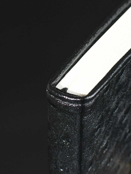 Изображение товара Ежедневник Escalada Страус / 70668 (160л, черный)