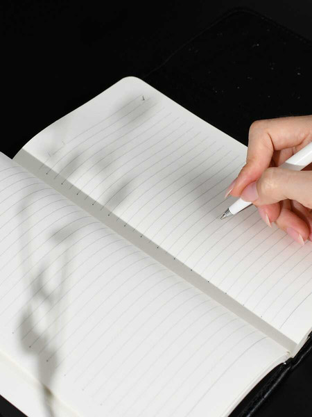 Изображение товара Ежедневник Escalada Страус / 70668 (160л, черный)