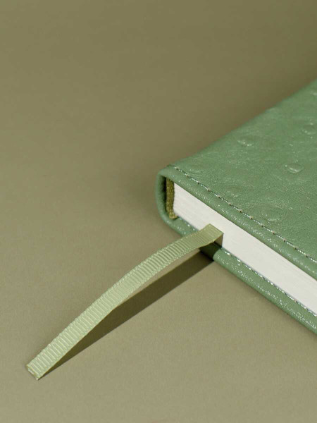 Изображение товара Ежедневник Escalada Страус / 70669 (160л, оливковый)