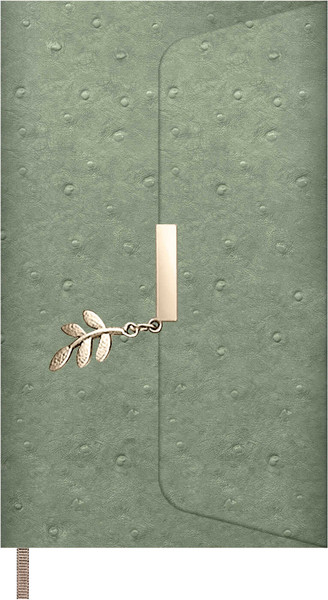 Изображение товара Ежедневник Escalada Страус / 70669 (160л, оливковый)