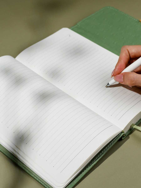 Изображение товара Ежедневник Escalada Страус / 70669 (160л, оливковый)