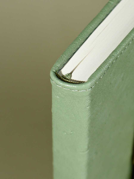 Изображение товара Ежедневник Escalada Страус / 70669 (160л, оливковый)