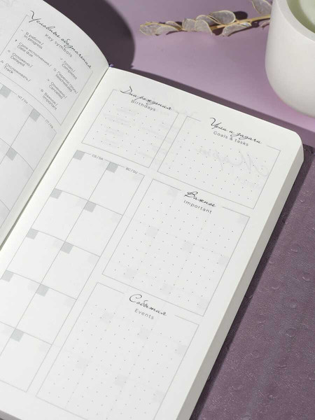 Изображение товара Ежедневник Escalada Страус / 70670 (160л, фиолетовый)