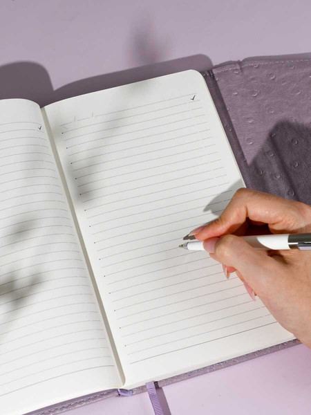 Изображение товара Ежедневник Escalada Страус / 70670 (160л, фиолетовый)