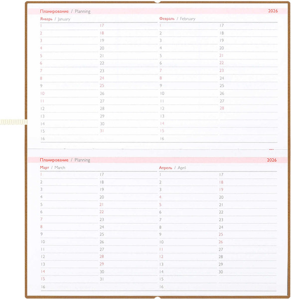 Изображение товара Еженедельник Escalada Золотая эстетика 2026 / 70390 (64л)
