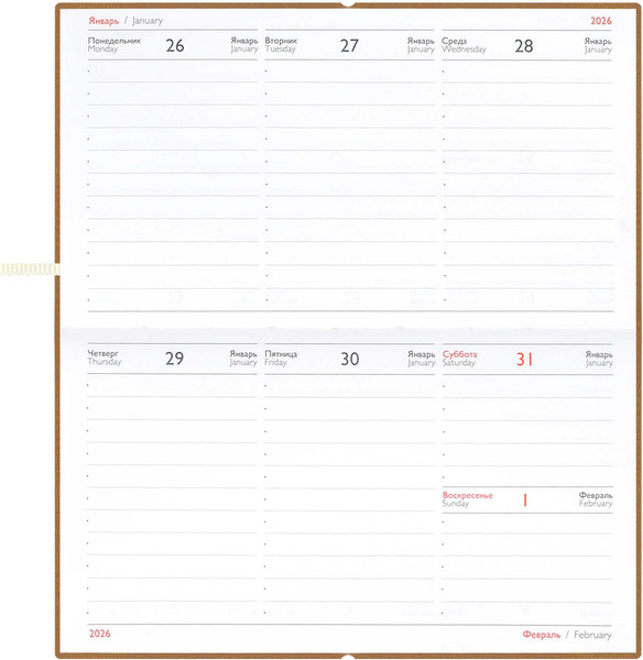 Изображение товара Еженедельник Escalada Золотая эстетика 2026 / 70390 (64л)