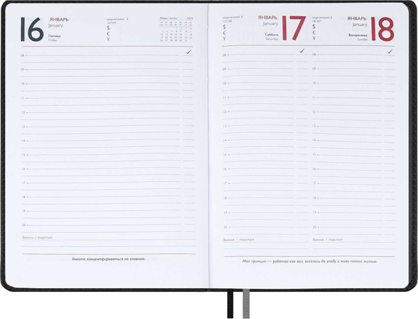 Изображение товара Ежедневник Escalada Шевро 2026 / 70214 (176л, черный)