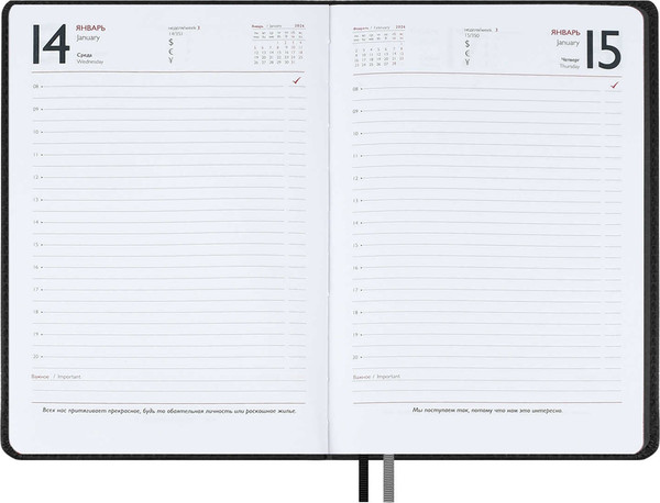 Изображение товара Ежедневник Escalada Шевро 2026 / 70214 (176л, черный)