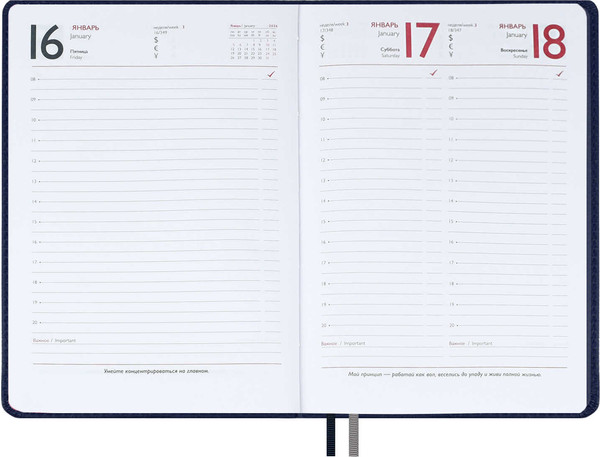 Изображение товара Ежедневник Escalada Шевро 2026 / 70216 (176л, синий)