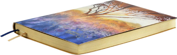 Изображение товара Ежедневник Escalada Свет сквозь ветви / 70658 (160л)