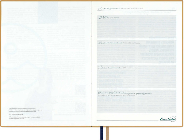 Изображение товара Ежедневник Escalada Свет сквозь ветви / 70658 (160л)