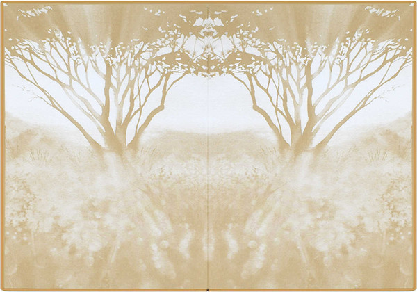 Изображение товара Ежедневник Escalada Свет сквозь ветви / 70658 (160л)