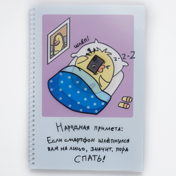 Изображение товара Тетрадь Listoff Примета / ТПС4605299 (60л)