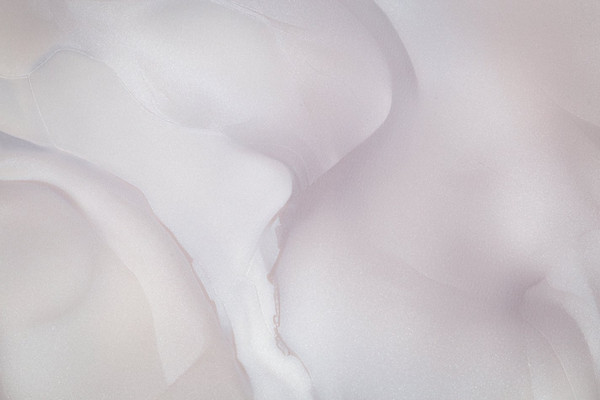 Изображение товара Виниловые обои Палитра Home Color Winner HC72452-24