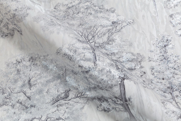 Изображение товара Виниловые обои Палитра Home Color Taina lesa PRO HC72463-14