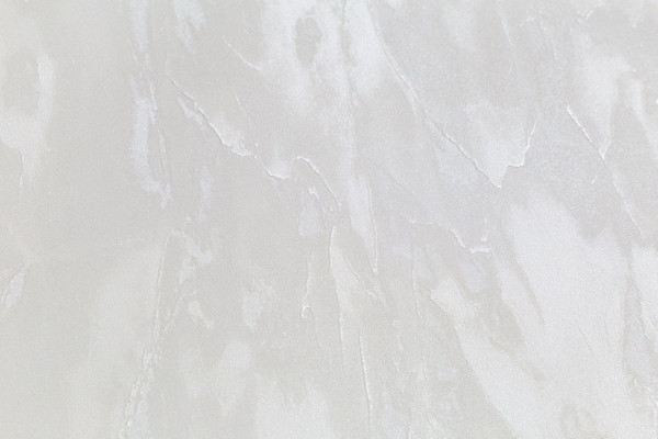 Изображение товара Виниловые обои Палитра Home Color Taina lesa PRO HC72464-14