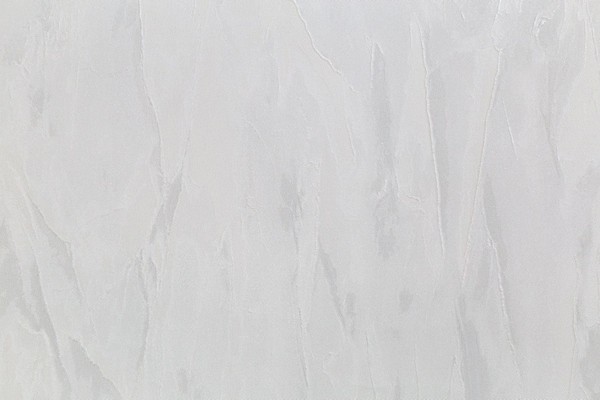 Изображение товара Виниловые обои Палитра Home Color Taina lesa PRO HC72464-14