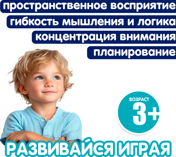 Изображение товара Игра-головоломка Bondibon БондиЛогика Курочки-Несушки / ВВ6612