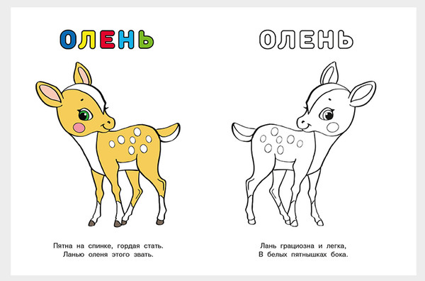 Изображение товара Раскраска Фламинго Узнай и раскрась. Медведь и Еж, мягкая обложка