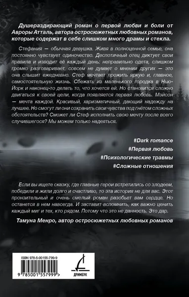 Изображение товара Художественная книга Дримбук Мы сможем? (Атталь А. 9785001557999)