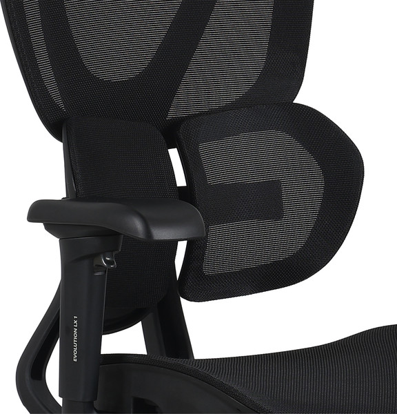 Изображение товара Кресло офисное Evolution LX 1 (черный)