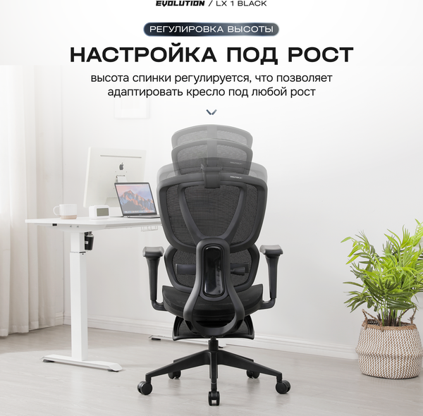 Изображение товара Кресло офисное Evolution LX 1 (черный)