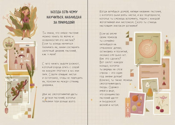 Изображение товара Подарочный набор Эксмо Волшебный подарок Феи (9785042088605)