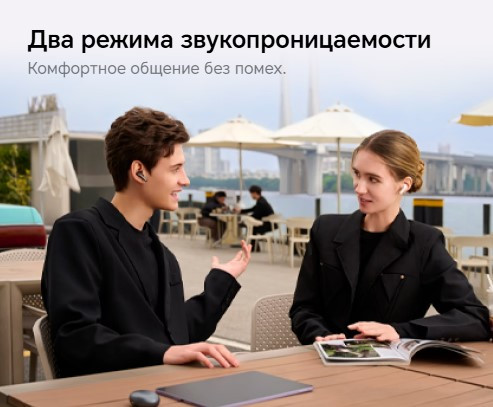 Изображение товара Беспроводные наушники Honor Choice Earbuds X7 Pro / KSN-ME00 (серый)