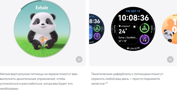 Изображение товара Умные часы Huawei Watch GT 6 Pro 46mm / 55020FWA (коричневый ремешок)