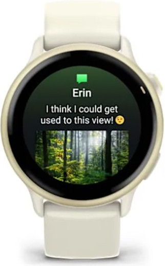 Изображение товара Умные часы Garmin Vivoactive 6  / 010-02985-01 (лунное золото)